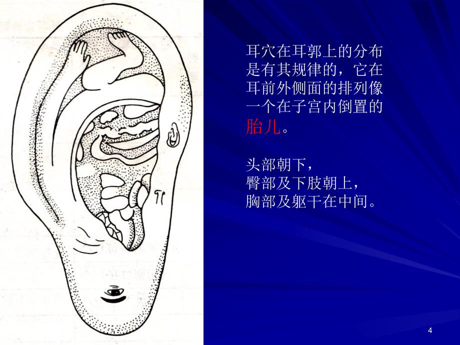 推荐精选耳穴治疗失眠和便秘_第4页