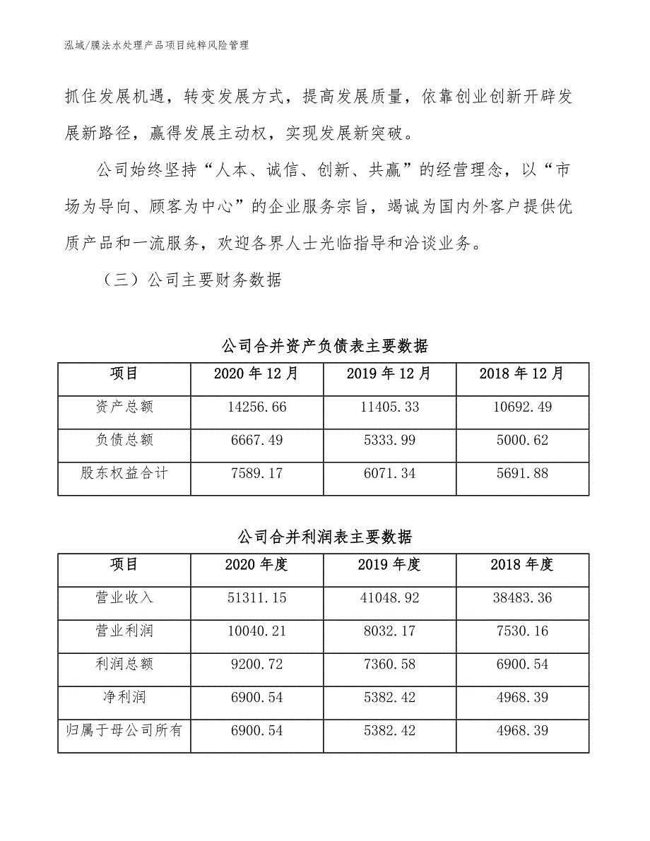 膜法水处理产品项目纯粹风险管理【范文】_第4页