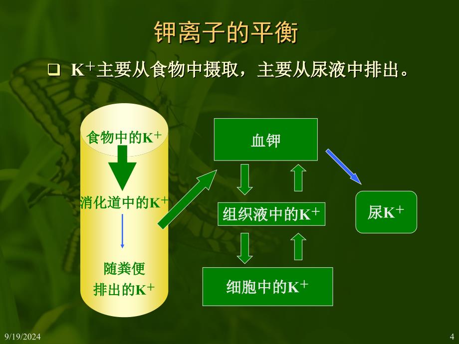 人体的稳态_第4页