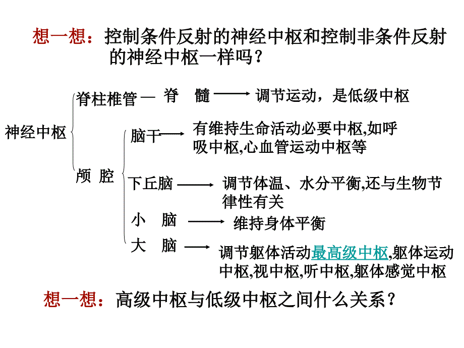 神经系统的分级调节.ppt_第4页