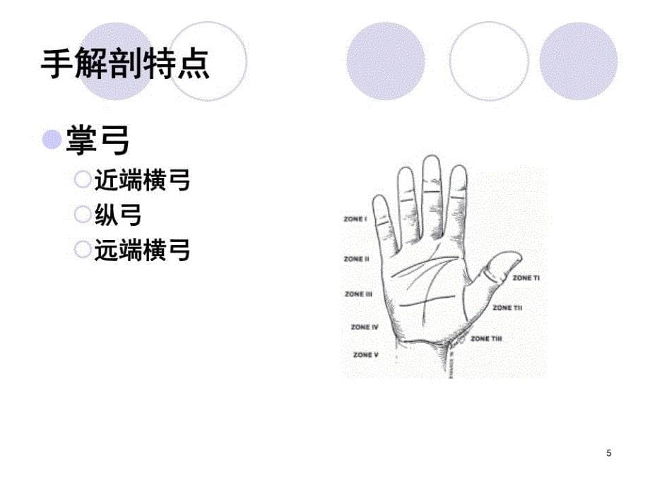 手外伤患者的作业治疗.ppt_第5页