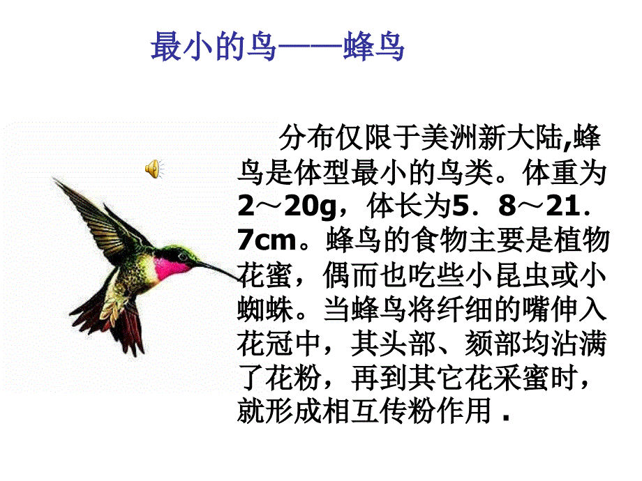 鸟的生殖和发育——公开课课件_第2页