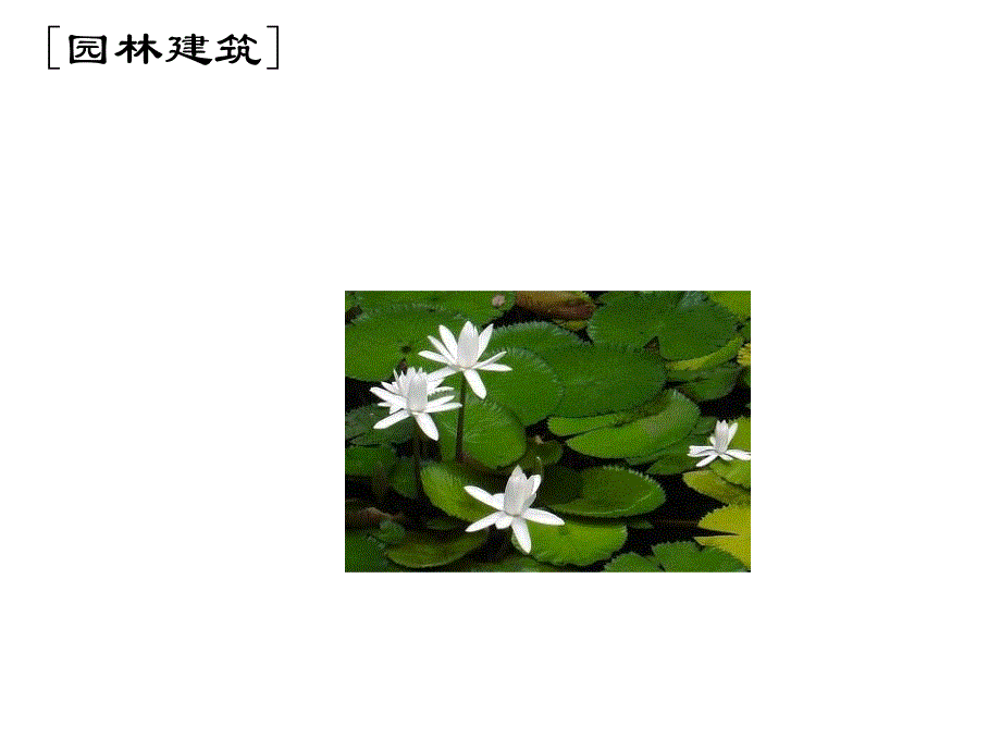 建筑园林景观小品设计(一)PPT_第1页
