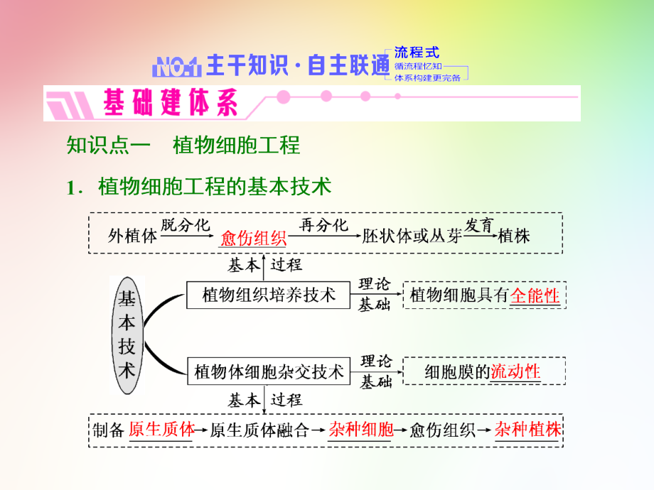 高中生物选修三--第2讲--细胞工程课件_第2页