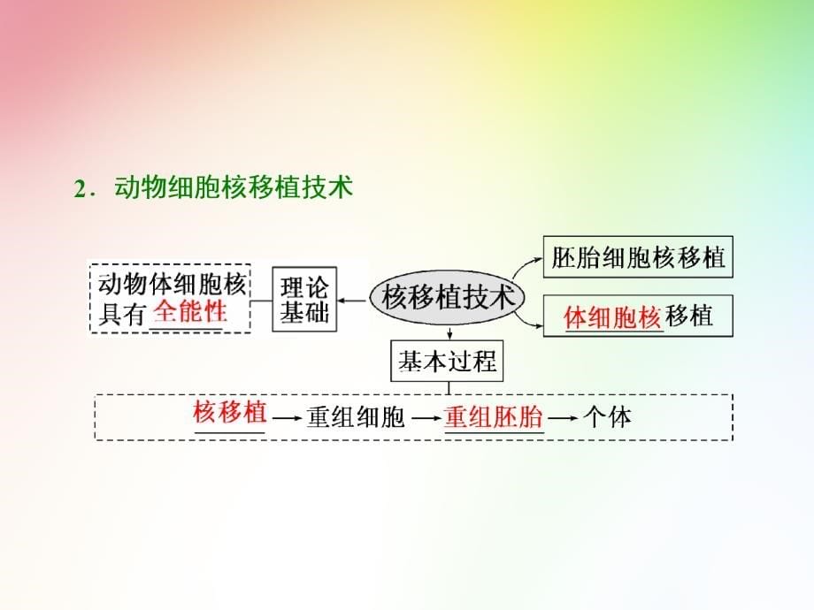 高中生物选修三--第2讲--细胞工程课件_第5页