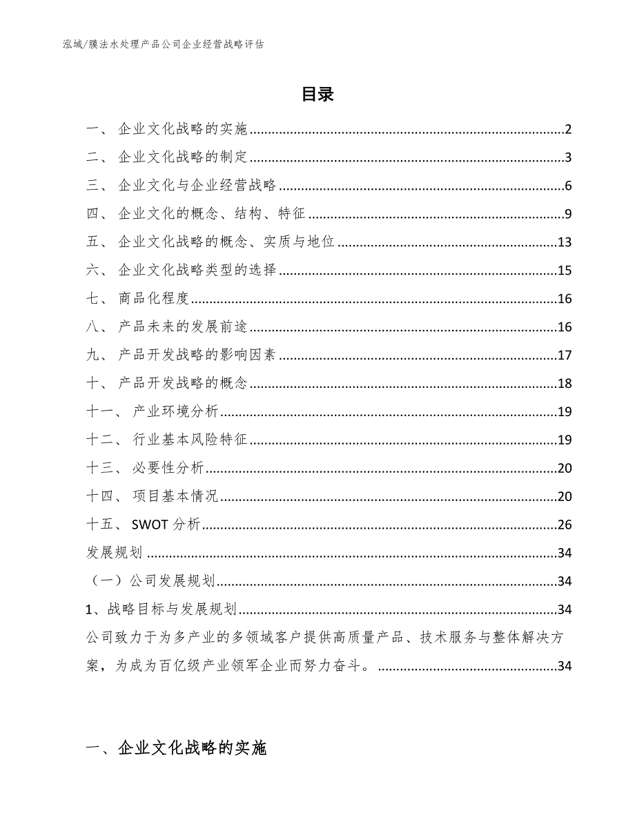 膜法水处理产品公司企业经营战略评估（参考）_第2页