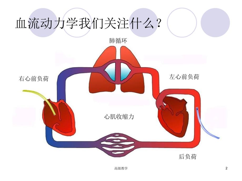 PICCO参数解读与血流动力学【特制材料】_第2页