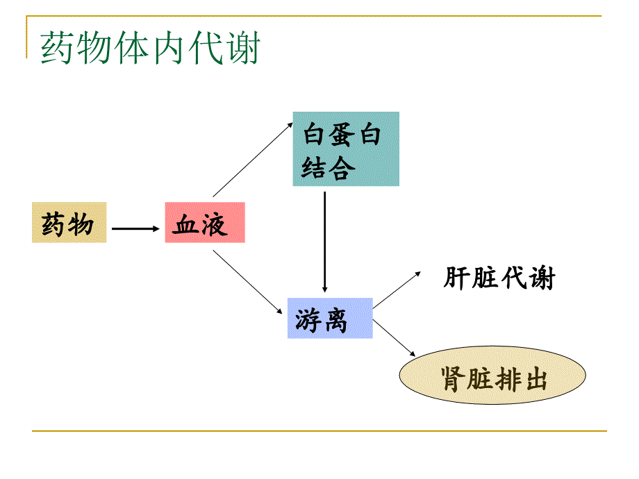 肾内科——肾功能不全的抗菌药物选择_第2页