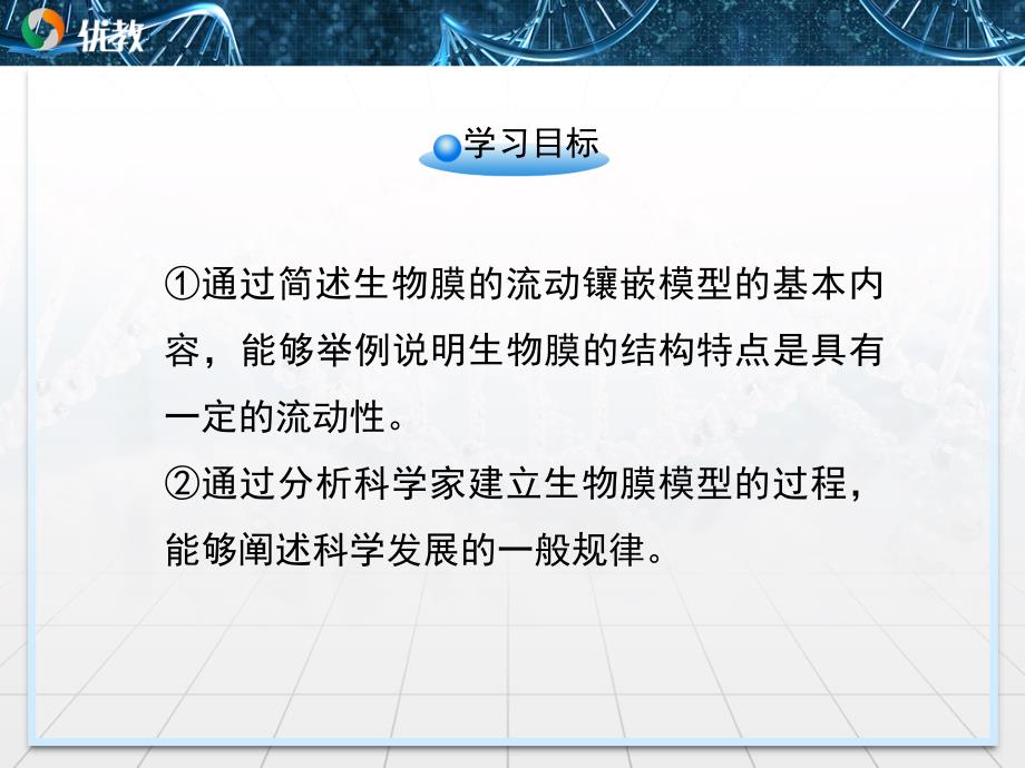 生物膜的流动镶嵌模型优教课件_第4页