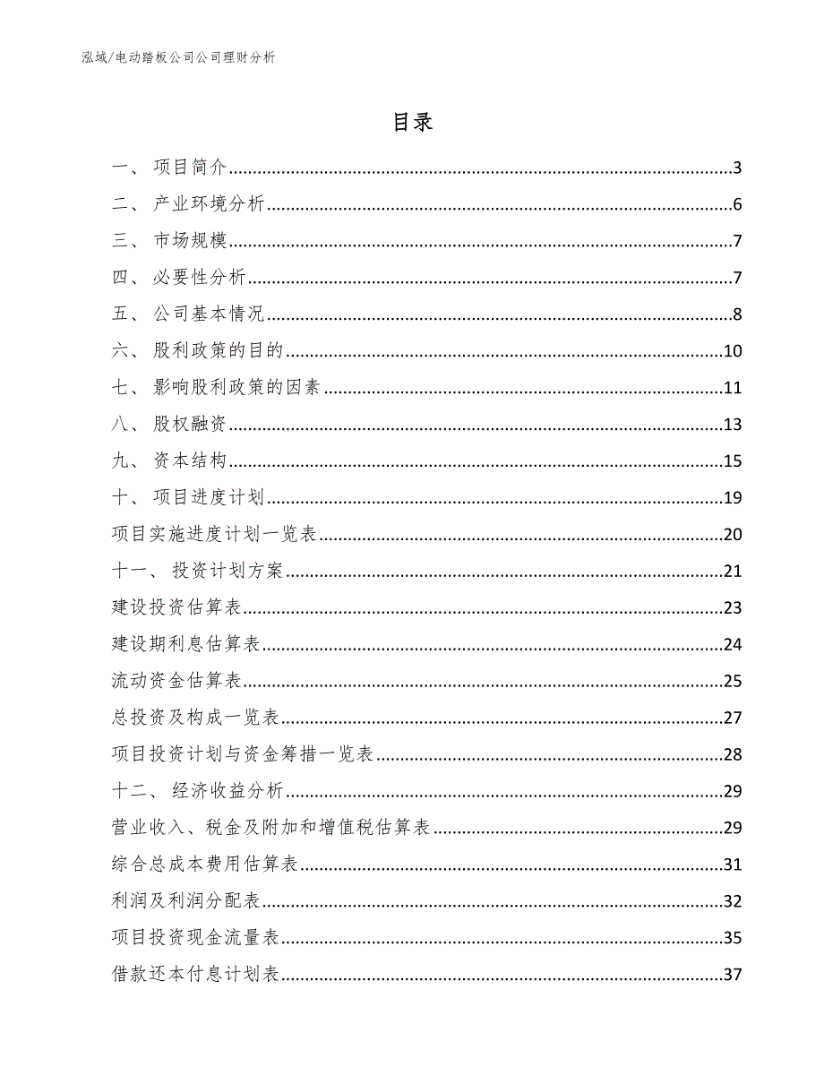 电动踏板公司公司理财分析_第2页