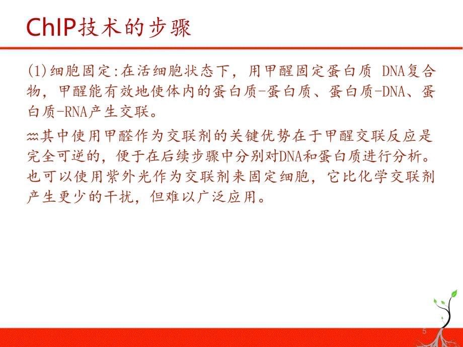 表观遗传学研究实验技术简介文档资料_第5页