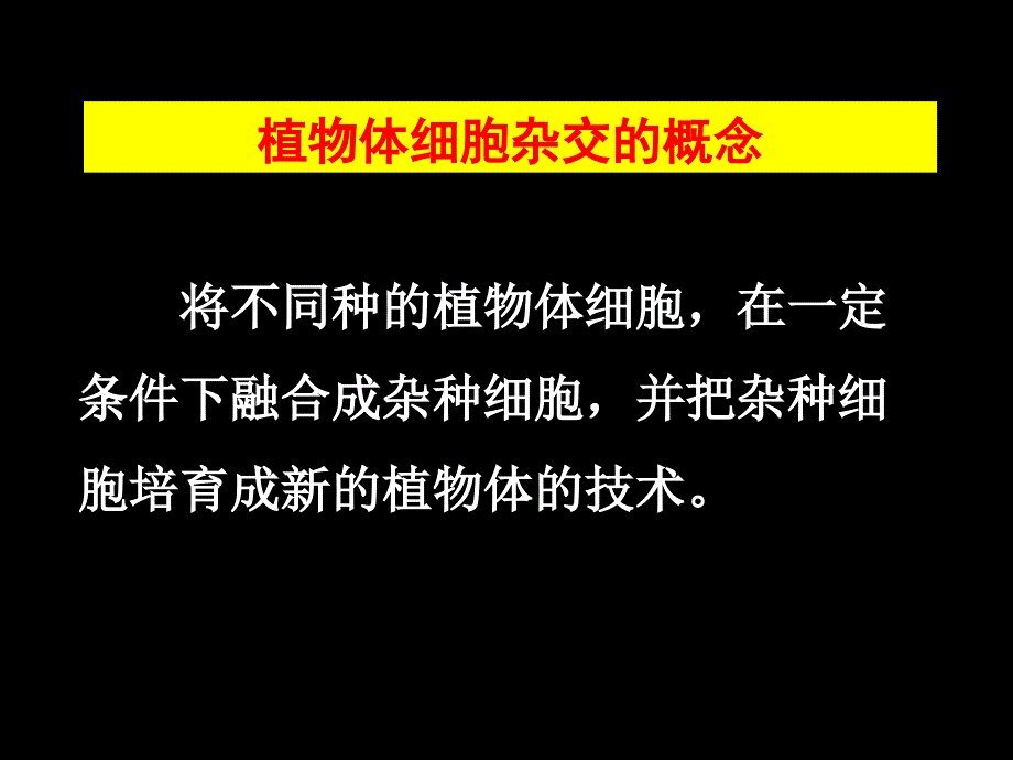 动物细胞培养_第3页