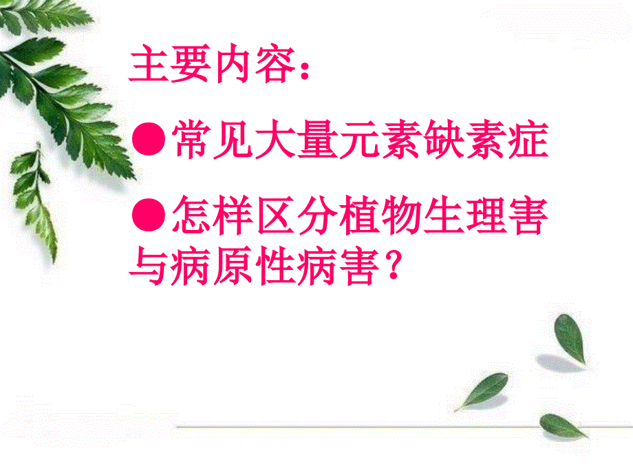 《作物缺素症图片》PPT课件_第2页