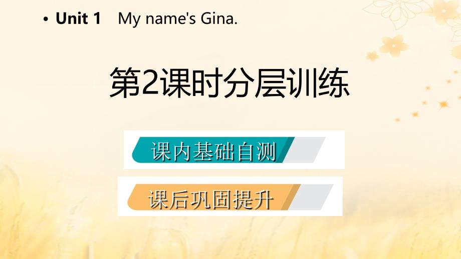 2018年秋七年级英语上册 Unit 1 My name&amp;rsquo;s Gina（第2课时）分层训练课件 （新版）人教新目标版_第2页