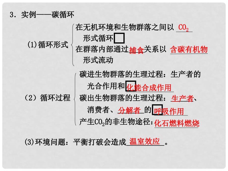 云南省弥勒县庆来中学高中生物 第48课 生态系统的物质循环和稳定性课件 新人教版必修3_第2页