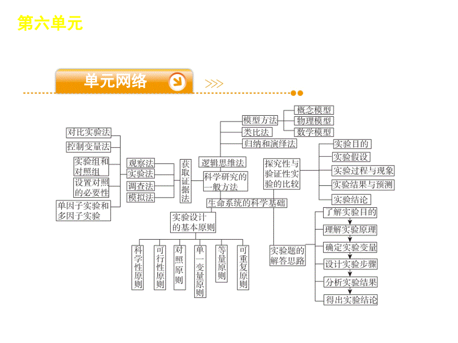 高考生物二轮复习课件：第6单元生命系统的实验基础113张_第3页