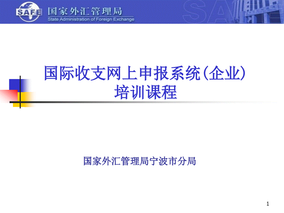 国际收支网上申报系统企业培训课程_第1页