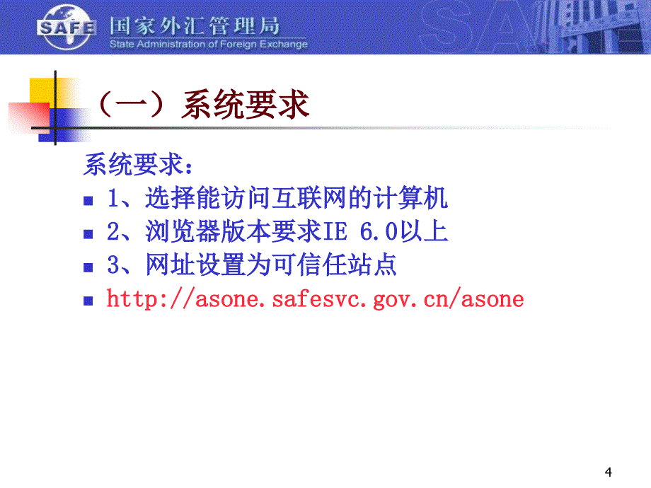 国际收支网上申报系统企业培训课程_第4页