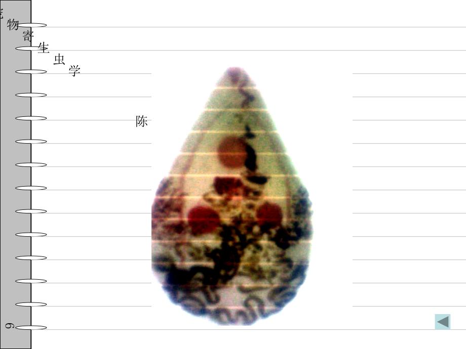 观赏鸟寄生虫部分课件_第4页