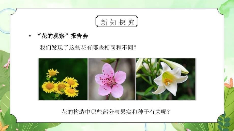 教科版四年级科学下册第二单元《新的生命-各种各样的花》PPT课件_第5页