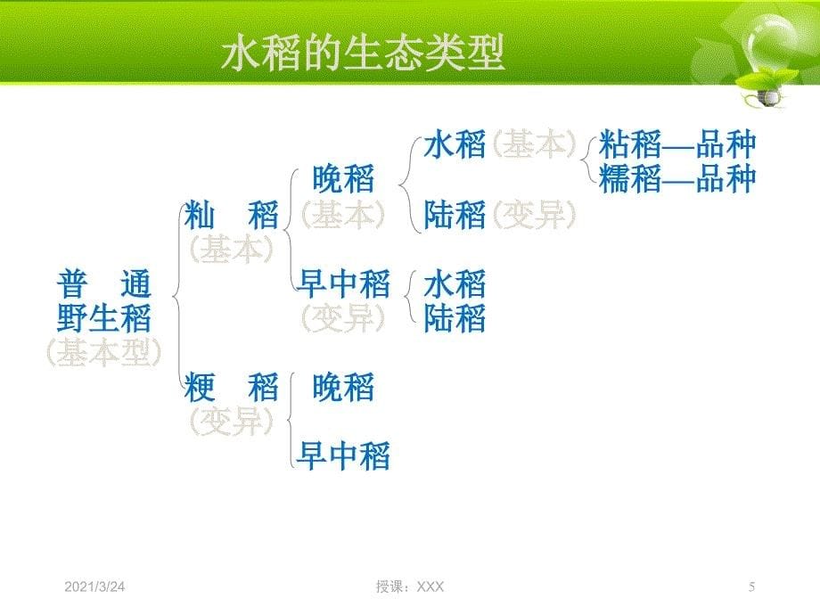 水稻栽培管理精品PPT课件_第5页