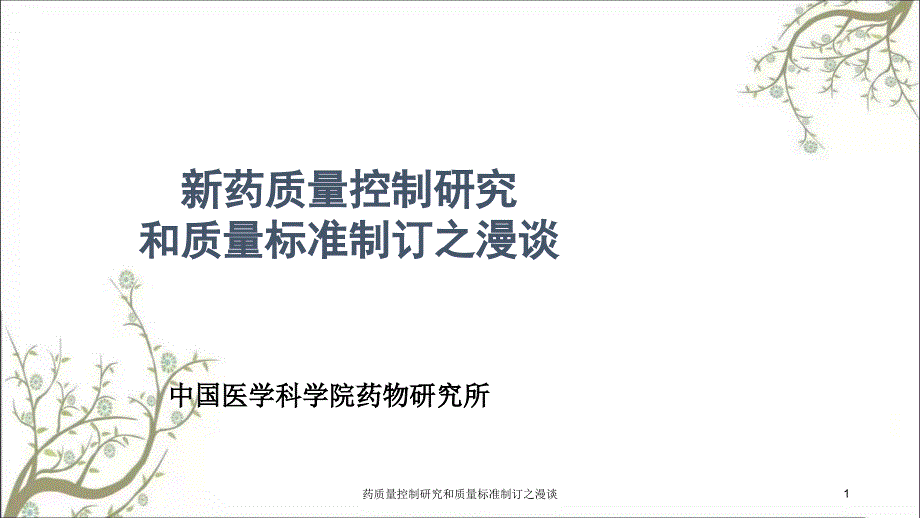 药质量控制研究和质量标准制订之漫谈课件_第1页