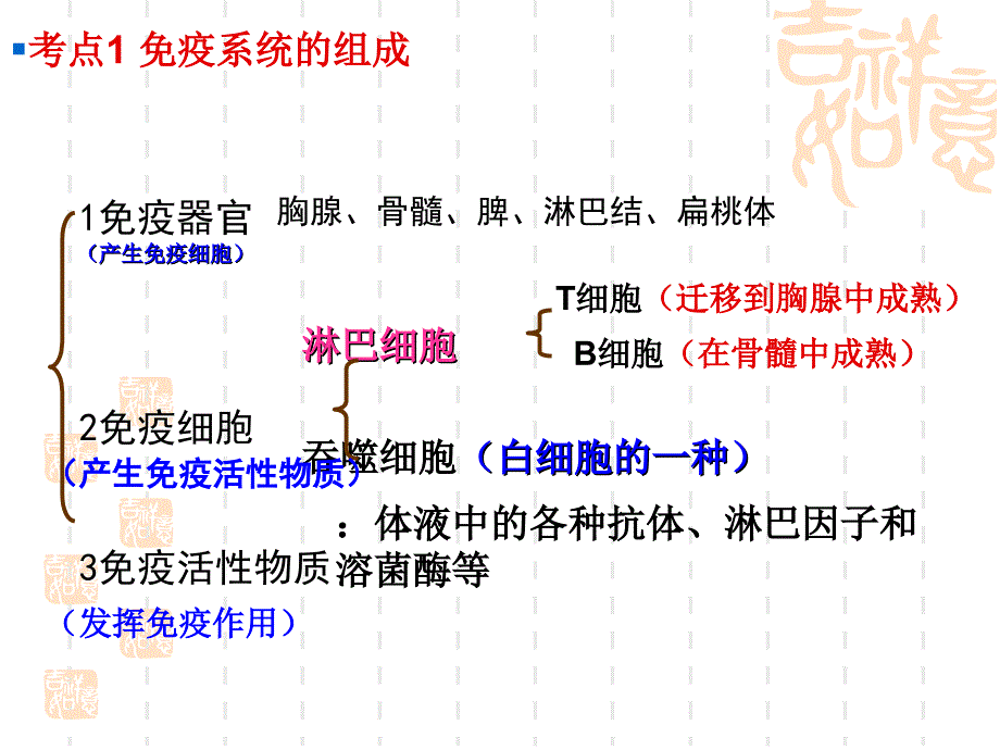 免疫调节高三生物一轮复习_第2页