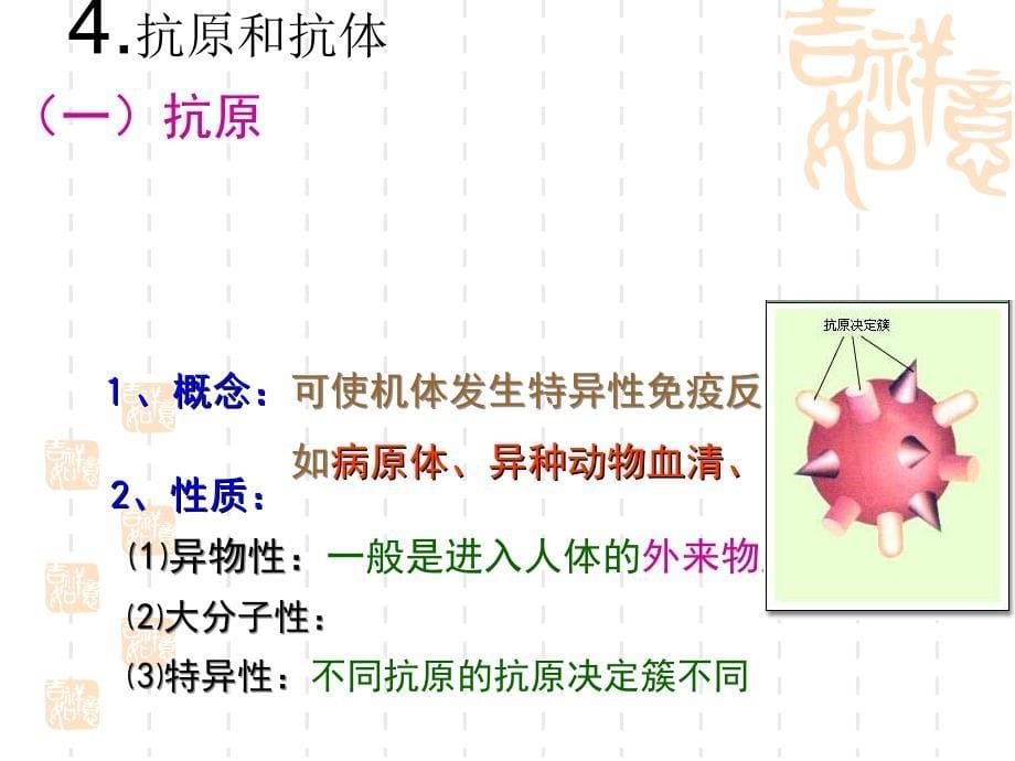 免疫调节高三生物一轮复习_第5页