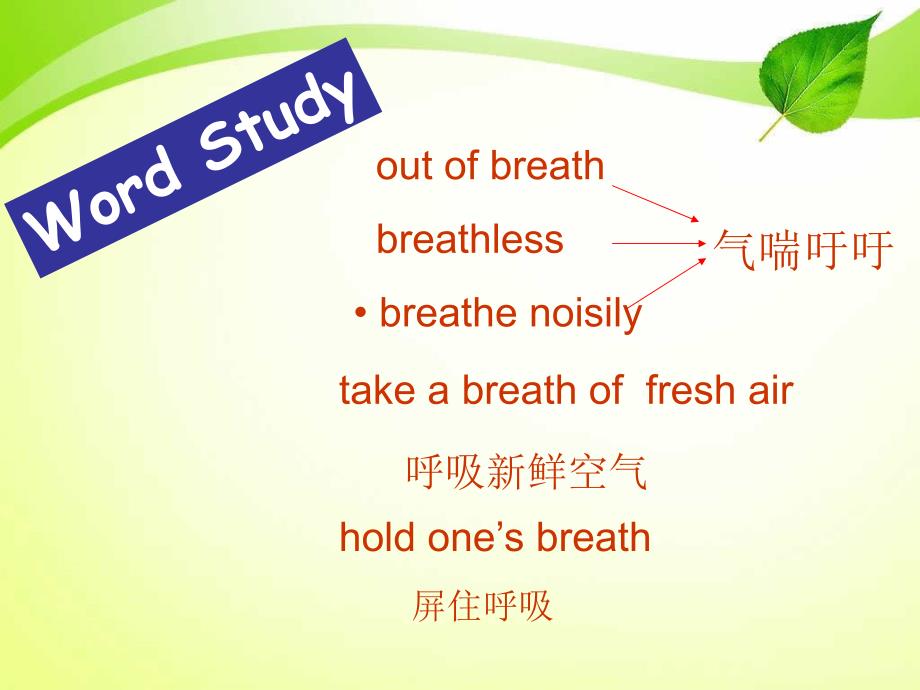 八年级英语上册Unit5StrangecreaturesLearningfocus课件牛津广州版课件_第3页