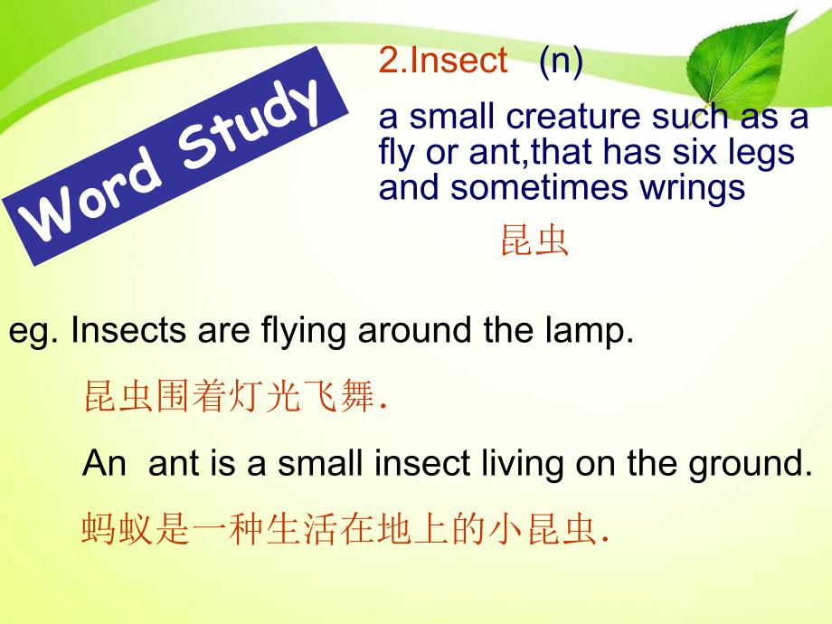 八年级英语上册Unit5StrangecreaturesLearningfocus课件牛津广州版课件_第4页