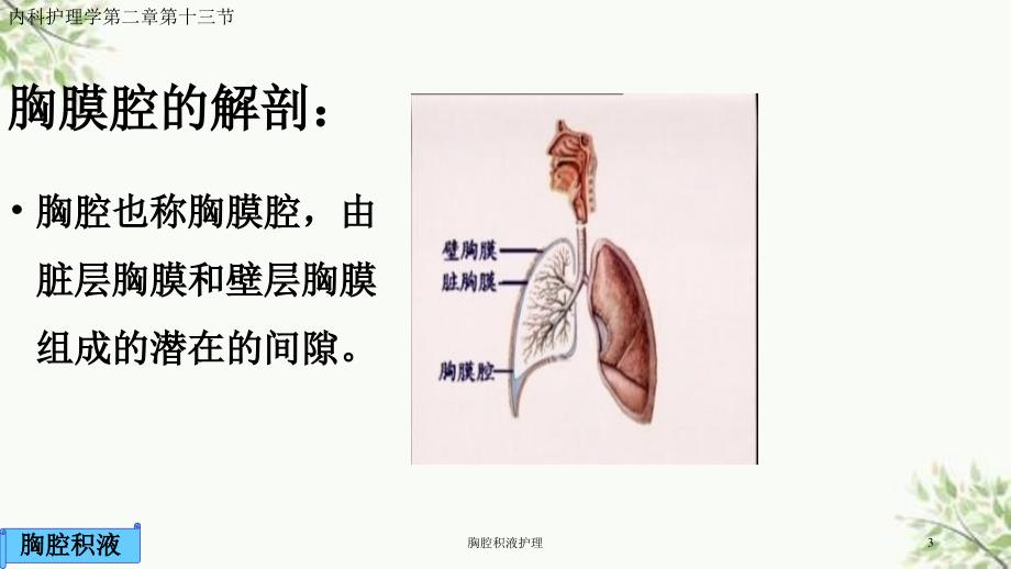 胸腔积液护理课件_第3页