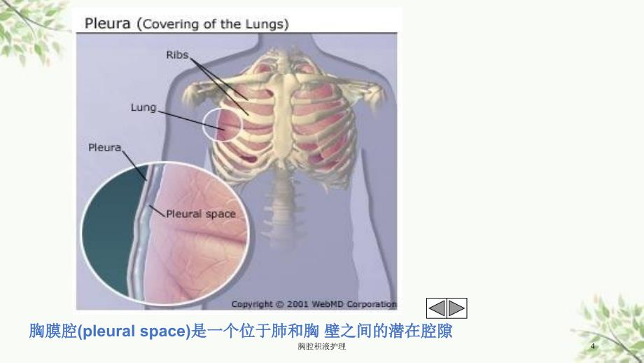 胸腔积液护理课件_第4页