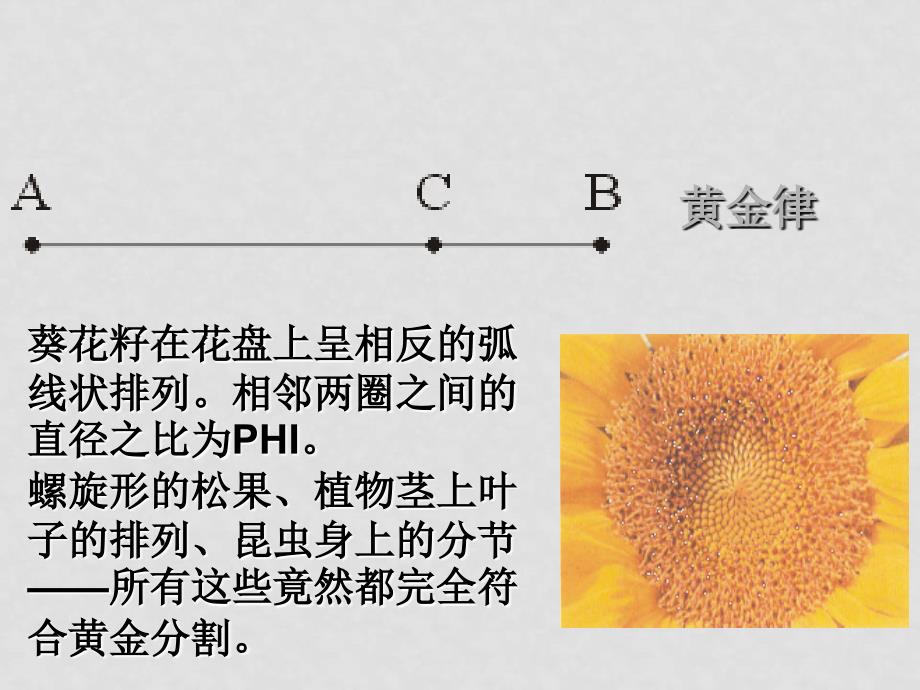 高中语文《从美学角度看数理科学》课件鲁人版第一册_第2页