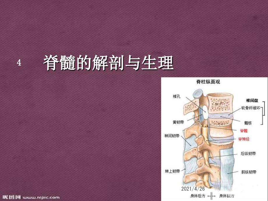 脊髓损伤概述医学课件_第4页