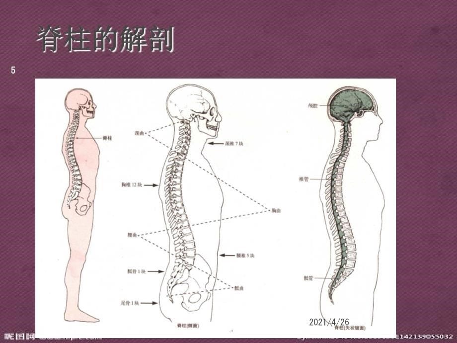 脊髓损伤概述医学课件_第5页