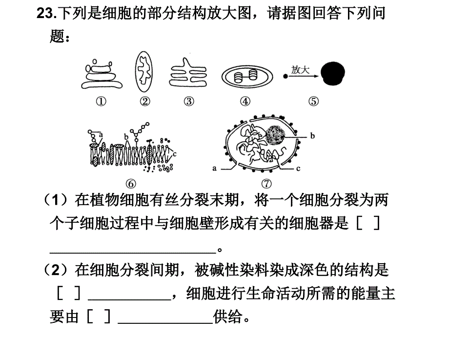 跨膜运输的 高用_第1页