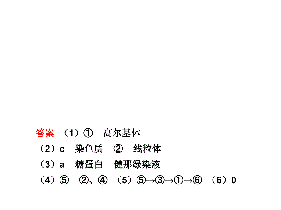 跨膜运输的 高用_第4页