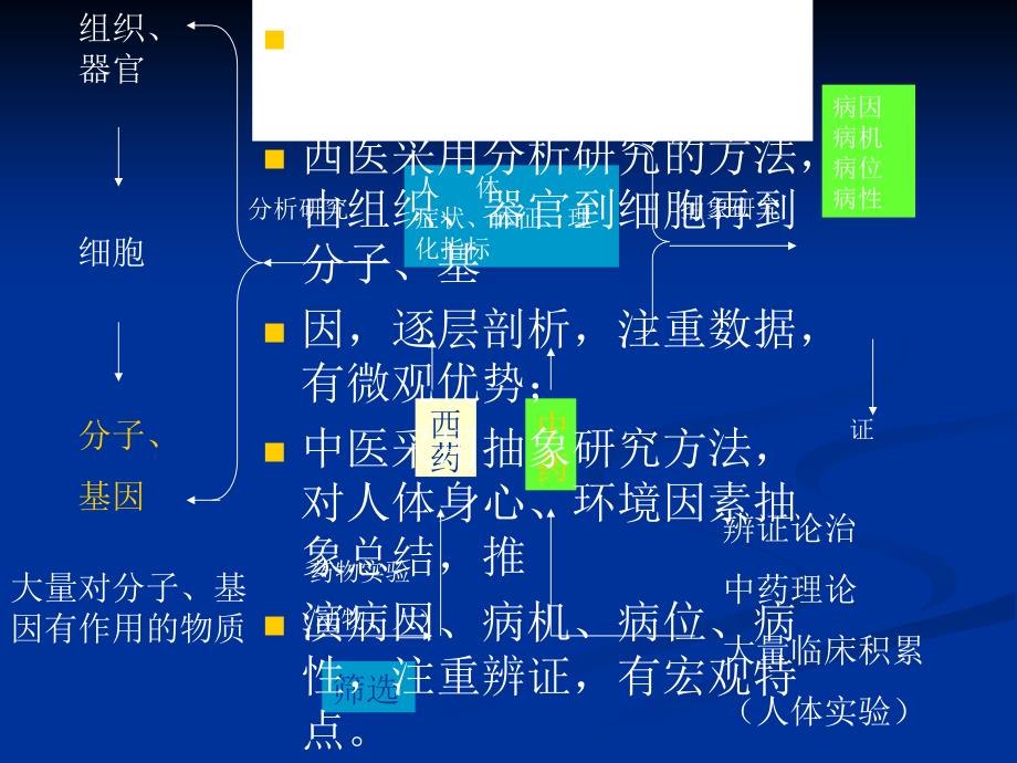 型糖尿病中中医联合诊疗(第一部分)(最新).ppt_第4页