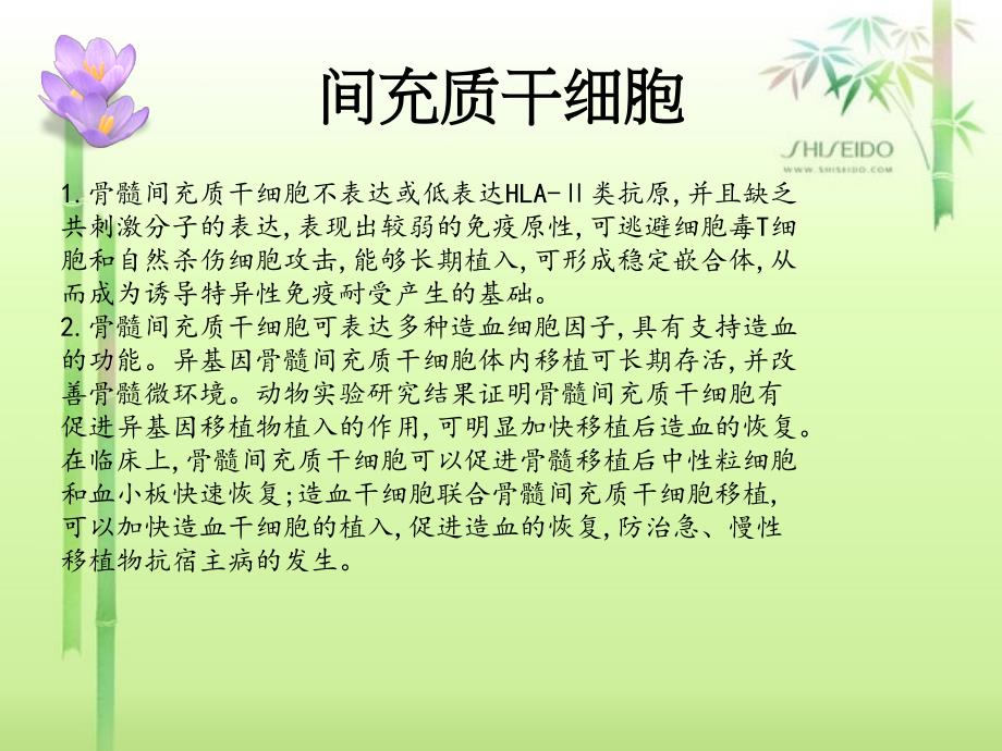 再生障碍性贫血治疗的几种药物介绍.ppt_第2页