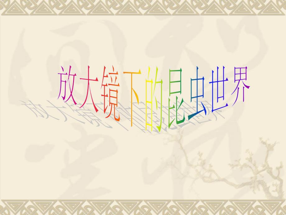 《放大镜下的昆虫世界》课件_第1页