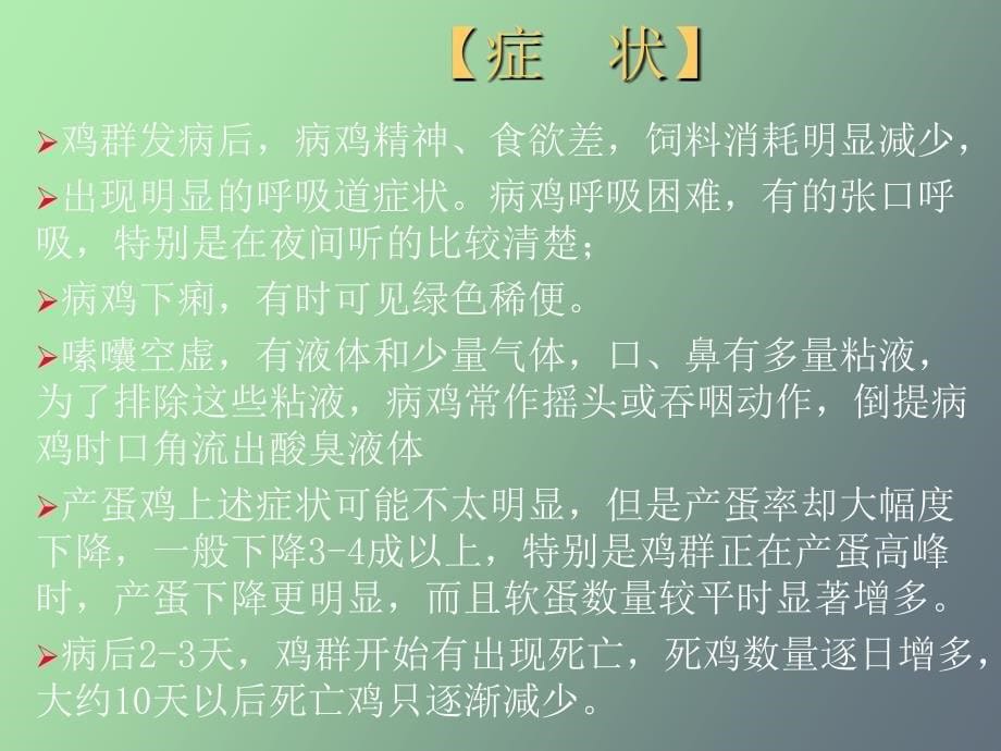 鸡病诊断与防治病毒_第5页