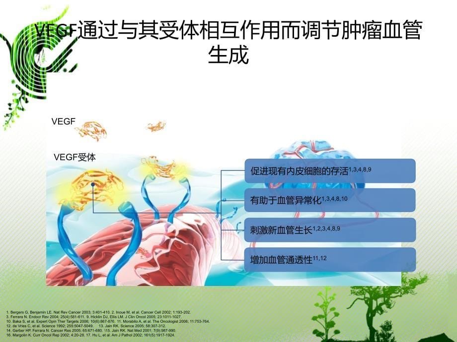 贝伐单抗作用机制篇PPT课件02_第5页