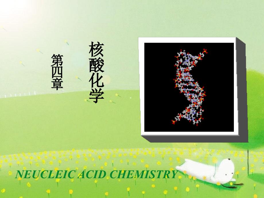 thefourthchapternucleicacidchemistry_第1页