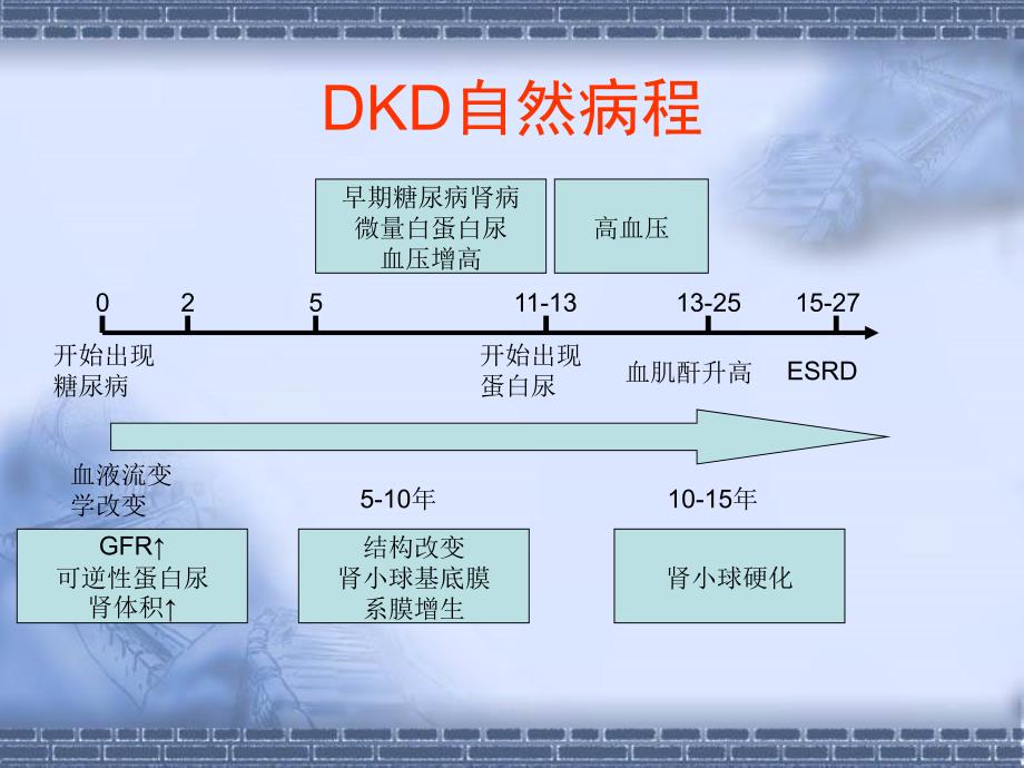 糖尿病及慢性肾脏病诊疗指南_第4页