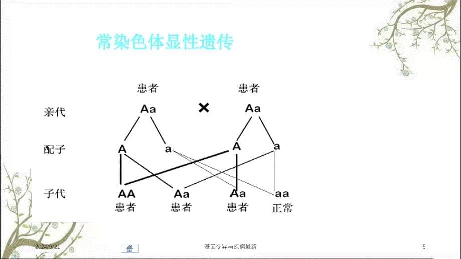 基因变异与疾病最新课件_第5页