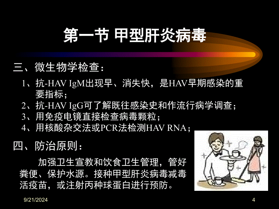 第二十八章肝炎病毒PPT课件_第4页