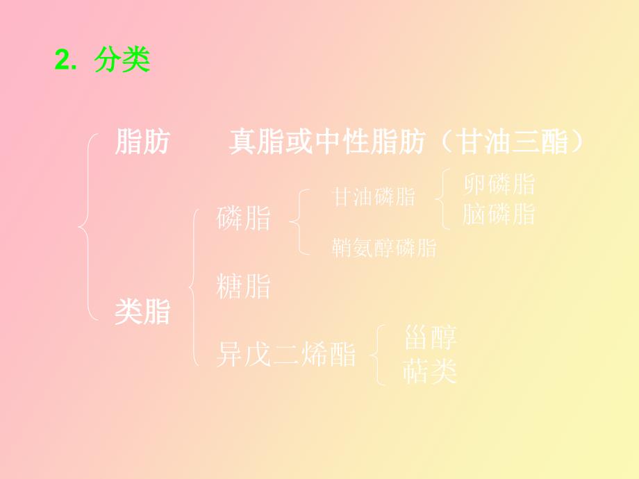 生物化学合工大第十章脂类代谢_第3页