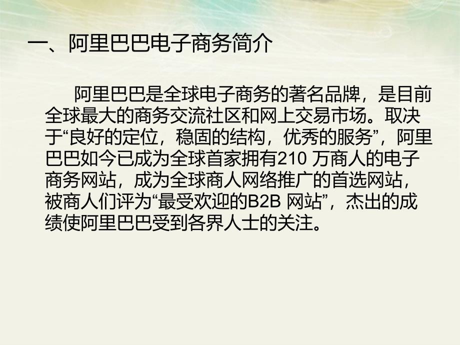 电子商务平台成功案例.ppt_第2页