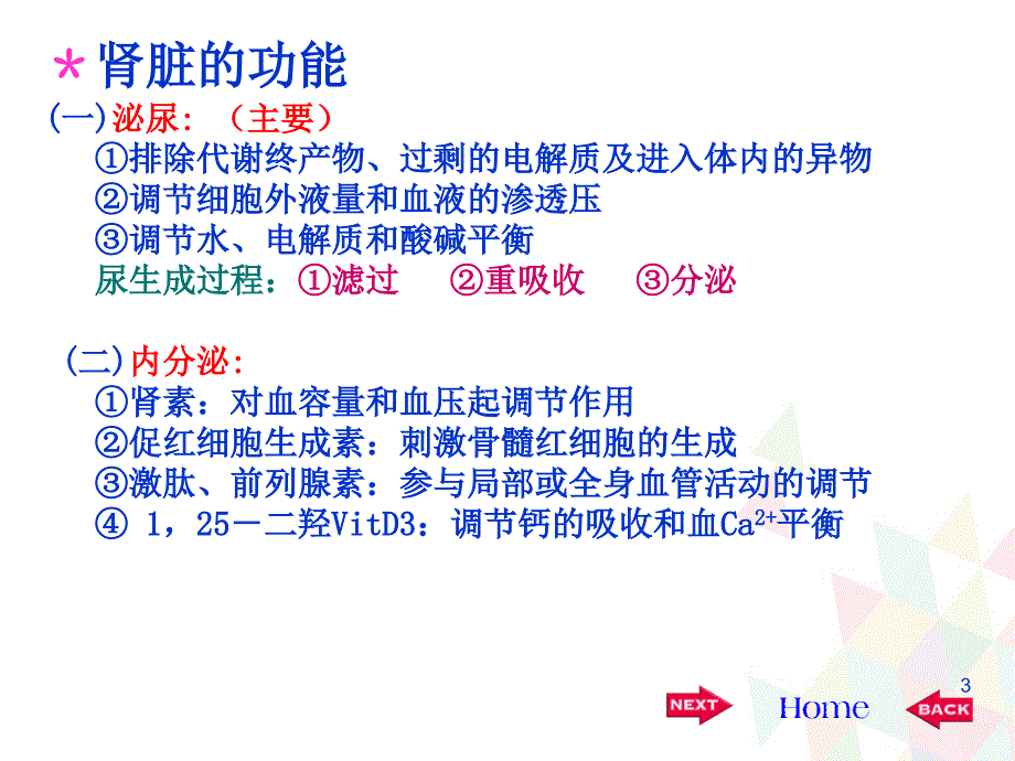 （优质课件）生理学尿的生成_第3页