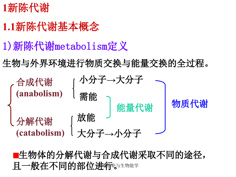 代谢总论与生物能学课件_第3页